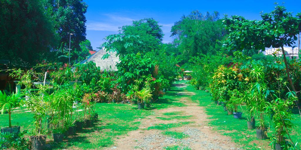 Michelle Pension Puerto Princesa Eksteriør bilde