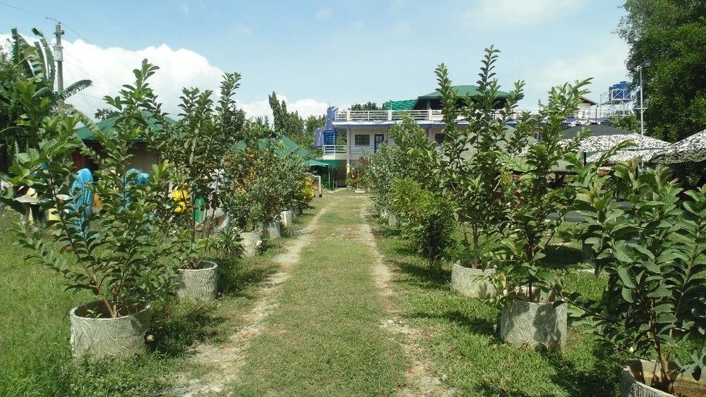 Michelle Pension Puerto Princesa Eksteriør bilde