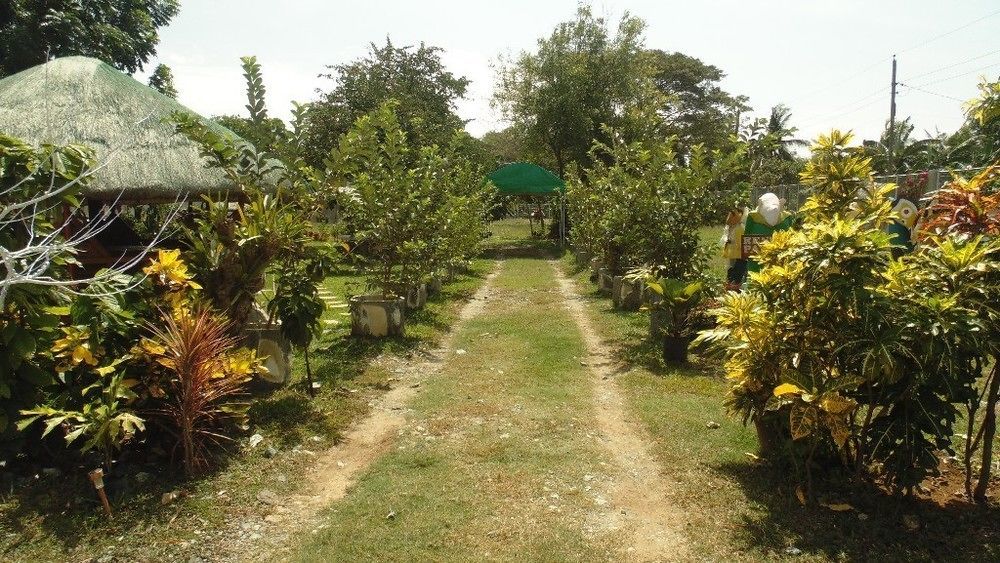 Michelle Pension Puerto Princesa Eksteriør bilde